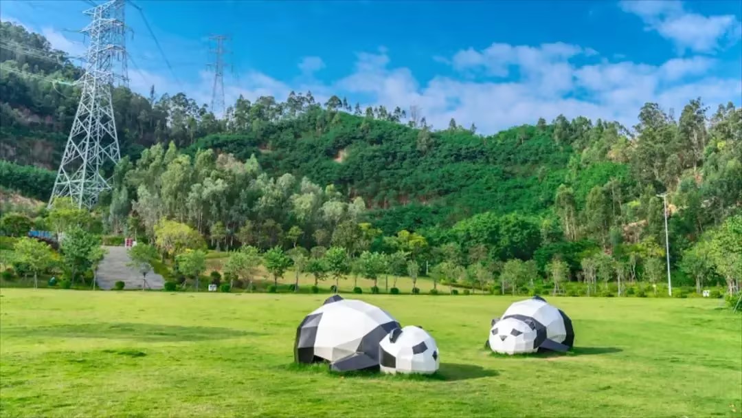 春日之約，享受自然之美